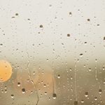 spelglädje brädspel sällskapsspel