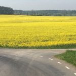 spelglädje brädspel sällskapsspel